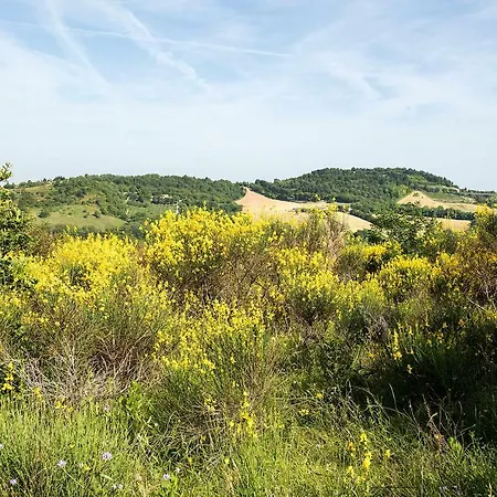 A01 - Massignano, Nuovo Bilocale Immerso Nel Verde Lejlighed