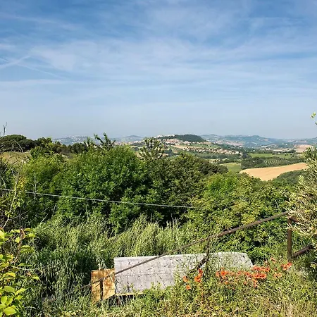 A01 - Massignano, Nuovo Bilocale Immerso Nel Verde Lejlighed